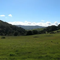 Helen Putnam Regional Park - Petaluma