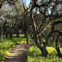Helen Putnam Regional Park - Petaluma
