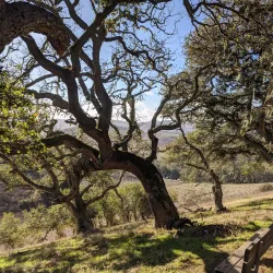 Helen Putnam Regional Park - Petaluma