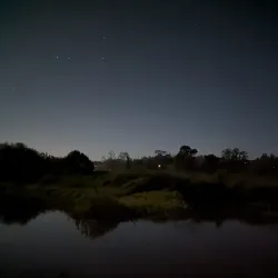 Laguna de Santa Rosa Preserve - Petaluma