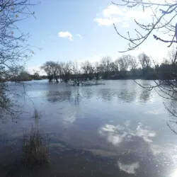 Laguna de Santa Rosa Preserve - Petaluma