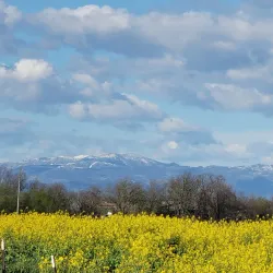 Laguna de Santa Rosa Preserve - Petaluma