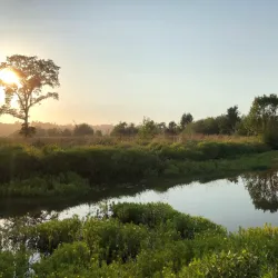 Laguna de Santa Rosa Preserve - Petaluma