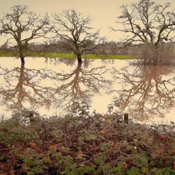 Laguna de Santa Rosa Preserve - Petaluma