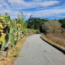 Petaluma Adobe State Historic Park - Petaluma