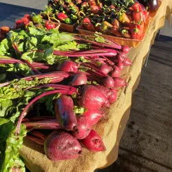 Petaluma Farmers Market - Petaluma