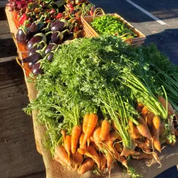 Petaluma Farmers Market - Petaluma