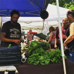 Petaluma Farmers Market - Petaluma