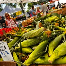Petaluma Farmers Market - Petaluma