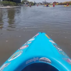 Petaluma River - Petaluma