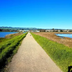 Shollenberger Park - Petaluma