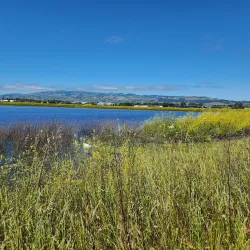 Shollenberger Park - Petaluma