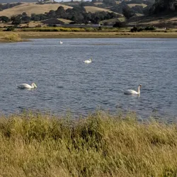 Shollenberger Park - Petaluma
