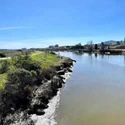 Shollenberger Park - Petaluma