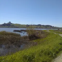 Shollenberger Park - Petaluma