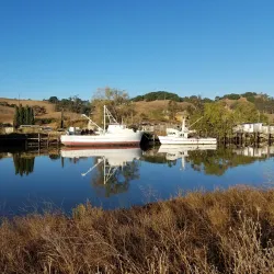 Shollenberger Park - Petaluma