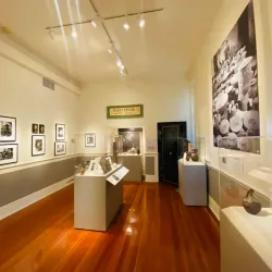 Sonoma County Museum - Petaluma