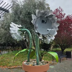 Sonoma County Museum - Petaluma