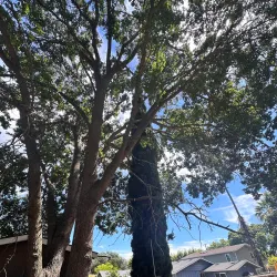 Contra Costa Canal Trail - Pleasant Hill