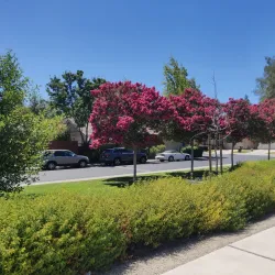 Iron Horse Regional Trail - Pleasant Hill