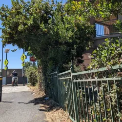 Iron Horse Regional Trail - Pleasant Hill