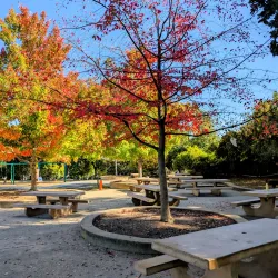 Larkey Park - Pleasant Hill