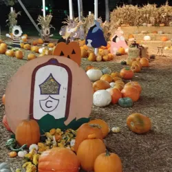 Shadelands Ranch Museum - Pleasant Hill