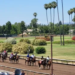 Alameda County Fairgrounds - Pleasanton