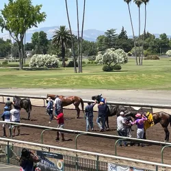 Alameda County Fairgrounds - Pleasanton