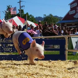 Alameda County Fairgrounds - Pleasanton