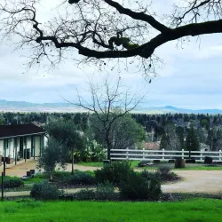 Alviso Adobe Community Park - Pleasanton