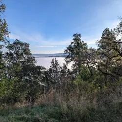 Augustin Bernal Park - Pleasanton