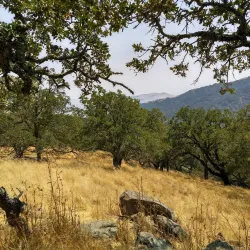 Augustin Bernal Park - Pleasanton