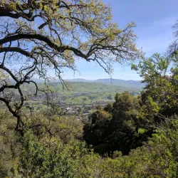 Augustin Bernal Park - Pleasanton