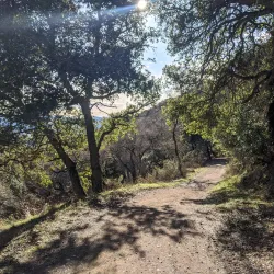 Augustin Bernal Park - Pleasanton