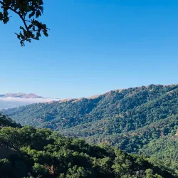 Augustin Bernal Park - Pleasanton