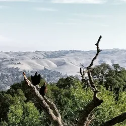 Augustin Bernal Park - Pleasanton