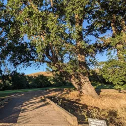 Callippe Preserve Golf Course - Pleasanton