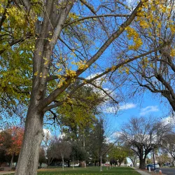 Downtown Pleasanton - Pleasanton