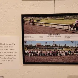 Museum on Main - Pleasanton