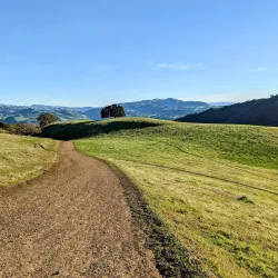 Pleasanton Ridge Regional Park - Pleasanton