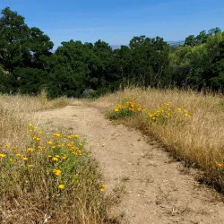 Pleasanton Ridge Regional Park - Pleasanton