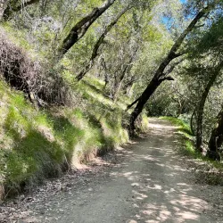 Pleasanton Ridge Regional Park - Pleasanton