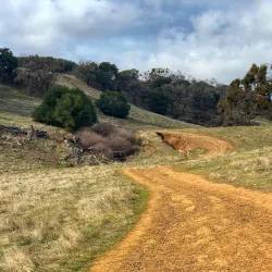 Pleasanton Ridge Regional Park - Pleasanton