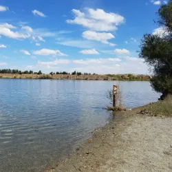 Shadow Cliffs Regional Recreation Area - Pleasanton