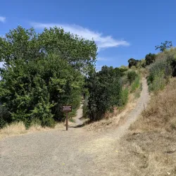 Shadow Cliffs Regional Recreation Area - Pleasanton