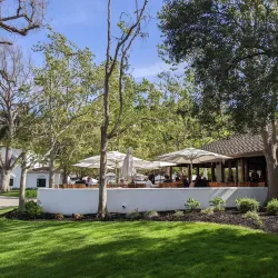 Wente Vineyards - Pleasanton