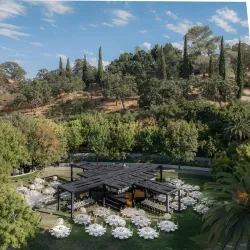 Wente Vineyards - Pleasanton