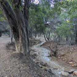 Aliso Canyon Park - Porter Ranch