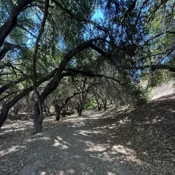 Aliso Canyon Park - Porter Ranch